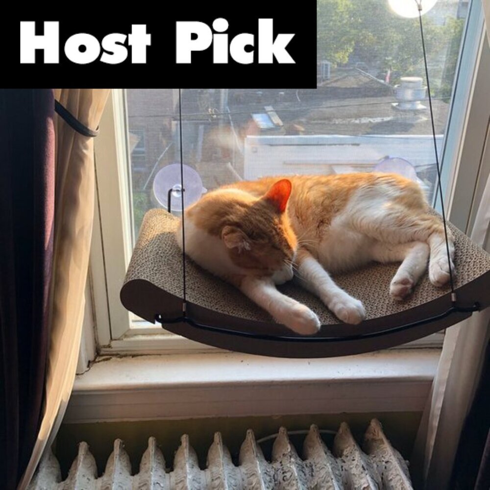 K&H Pet Products EZ Mount Window Kitty Sill Cradle Frame